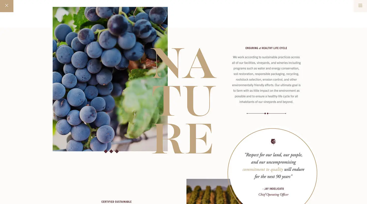 Delicato Family Wines
