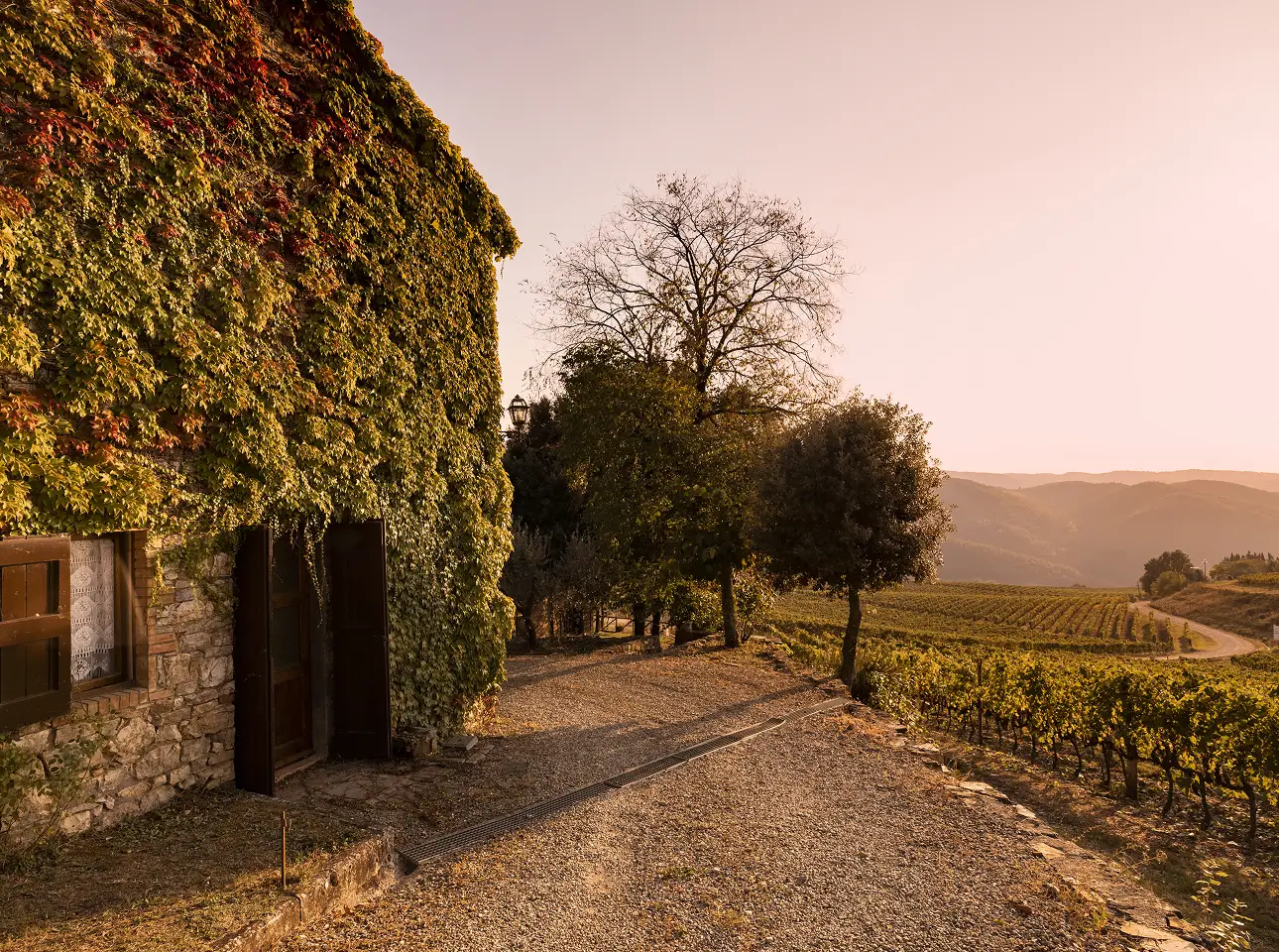 Frederick Wildman & Sons